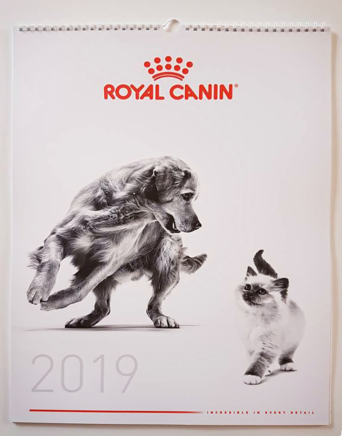 royal canin