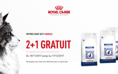 Votre Chat est unique – Promo Royal Canin